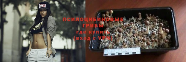 кокс Баксан