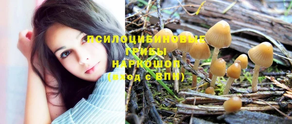 прущий лед Балахна