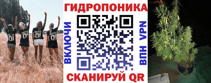 Бошки марихуана марихуана  Лаишево 